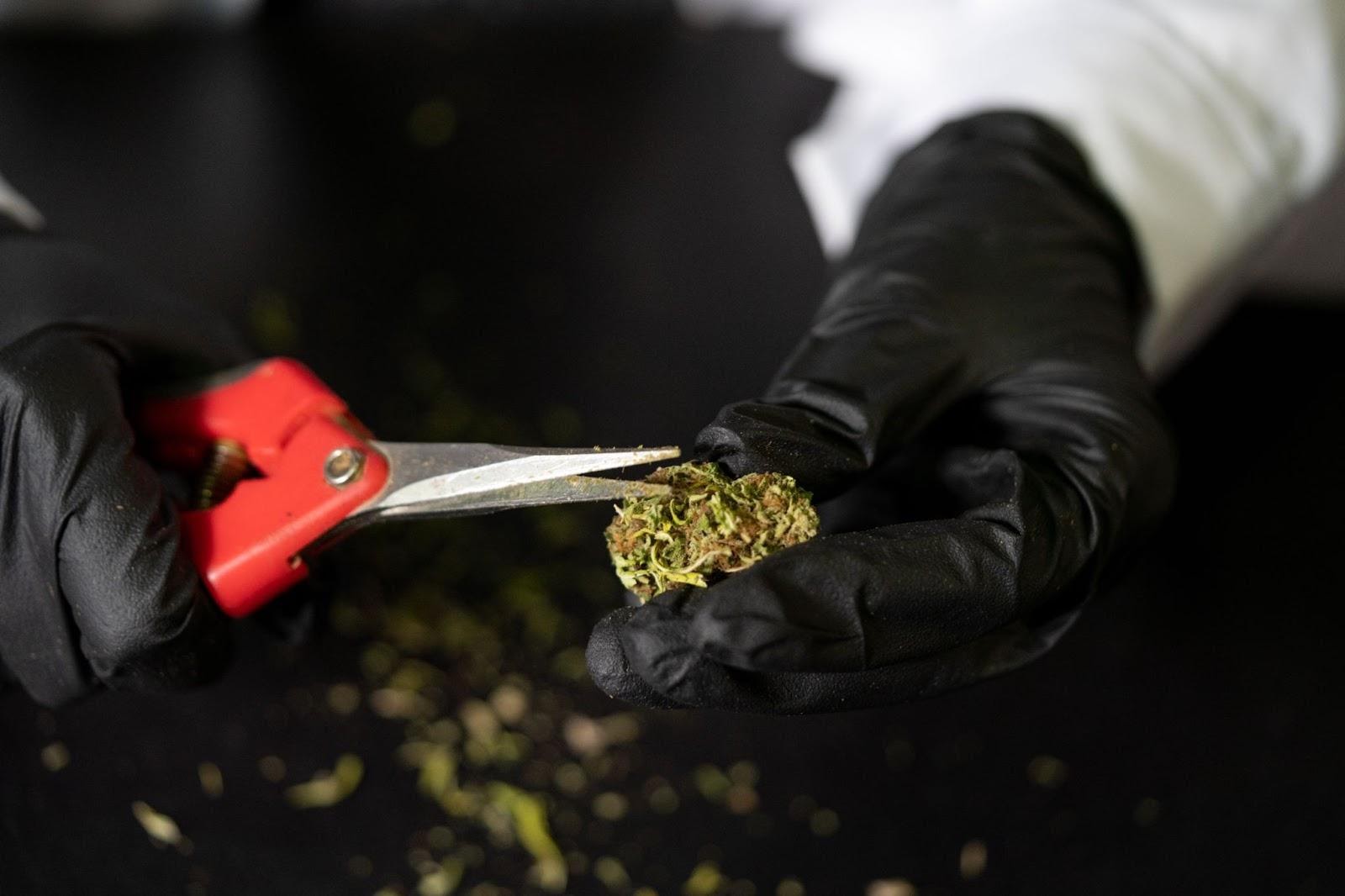 buy weed online