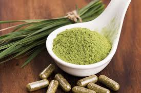 What Long-Time Kratom Users Look for Before Trusting a New Brand
